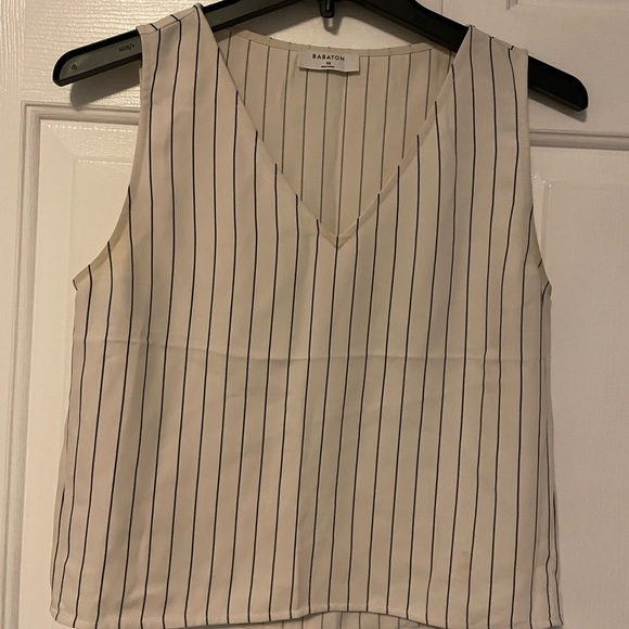 🦓Striped Babaton (Aritzia) sleeveless top - Picture 3 of 10